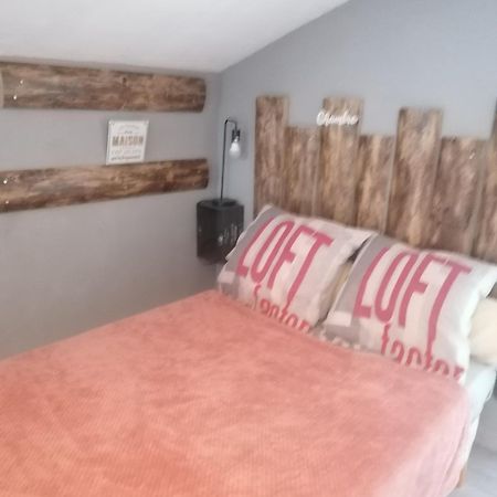 Chambre 23M2 Avec Jardin Wi-Fi Gratuit Saint-Girons Apartment Bagian luar foto