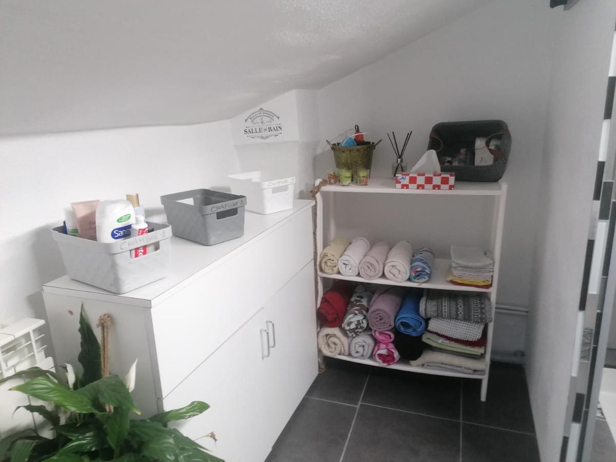 Chambre 23M2 Avec Jardin Wi-Fi Gratuit Saint-Girons Apartment Bagian luar foto