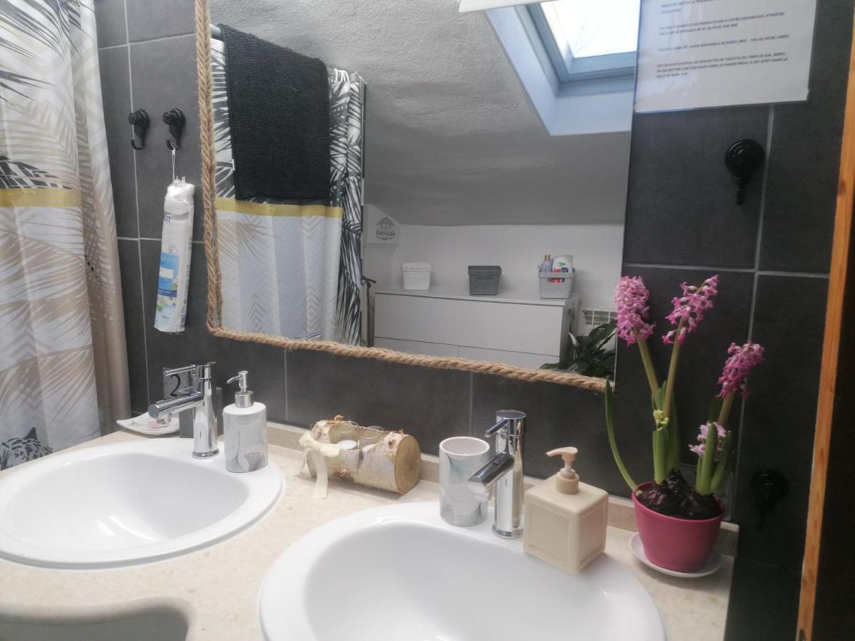 Chambre 23M2 Avec Jardin Wi-Fi Gratuit Saint-Girons Apartment Bagian luar foto