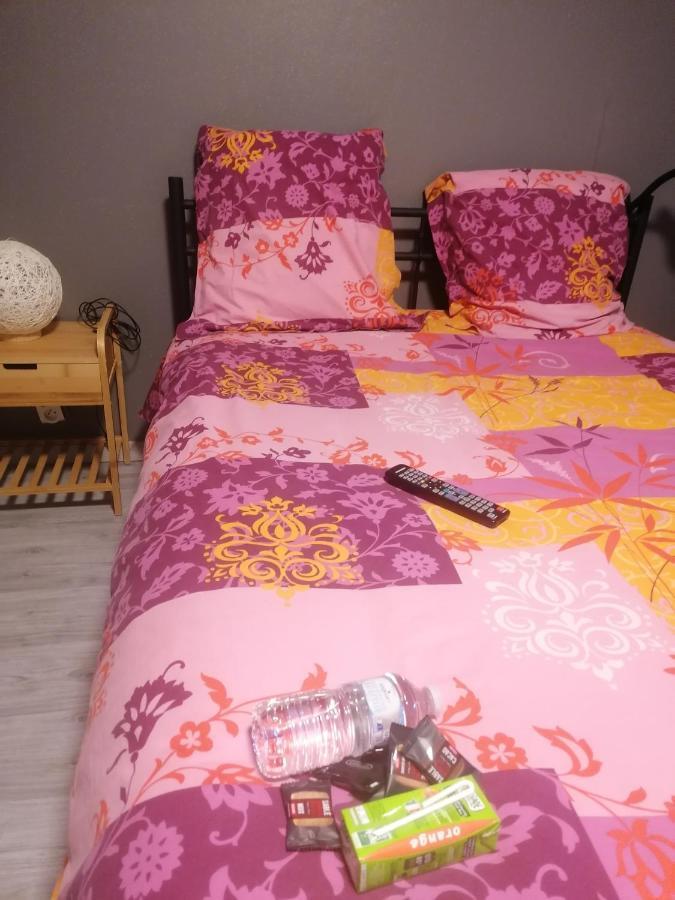 Chambre 23M2 Avec Jardin Wi-Fi Gratuit Saint-Girons Apartment Bagian luar foto
