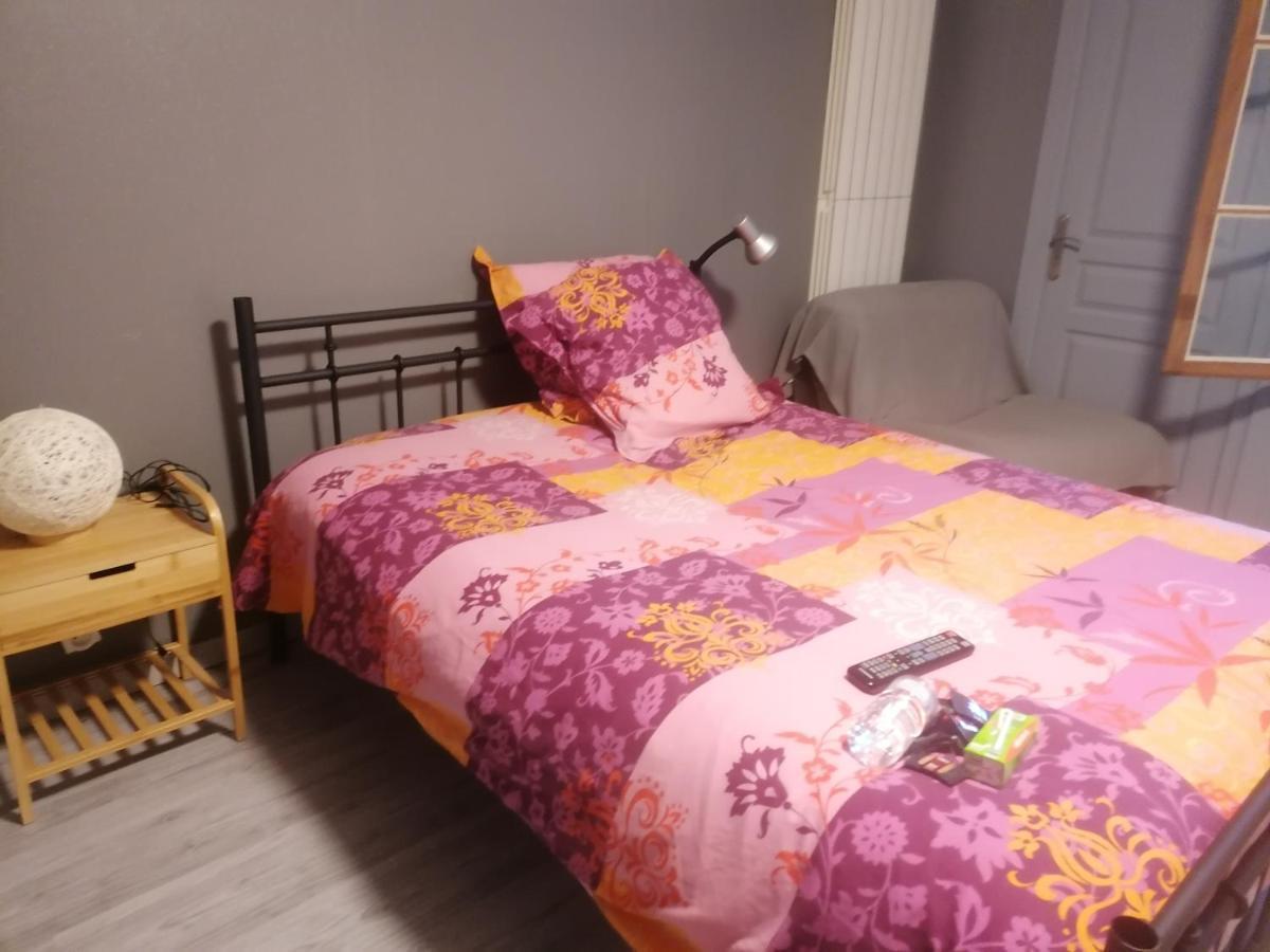 Chambre 23M2 Avec Jardin Wi-Fi Gratuit Saint-Girons Apartment Bagian luar foto